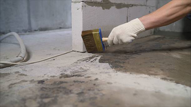 SJ Waterproofing Pros Waterproofing coverage map for Whitwell, TN and surrounding area